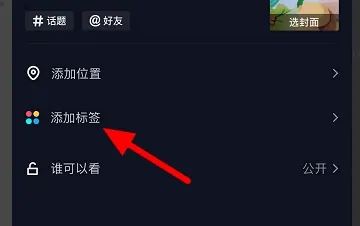 抖音上照片上的標(biāo)簽如何添加？
