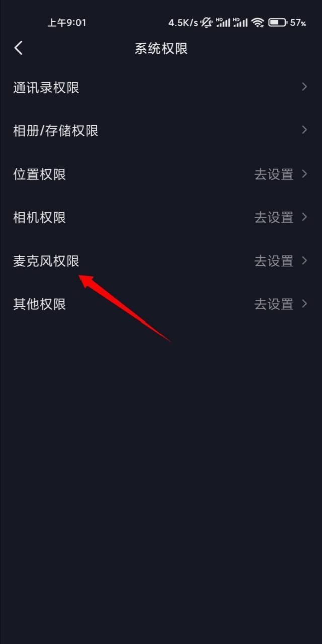 抖音拍視頻怎么打開麥克風(fēng)？